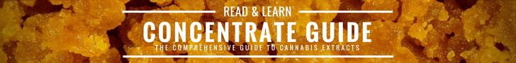Cannabis Concentrate Guide