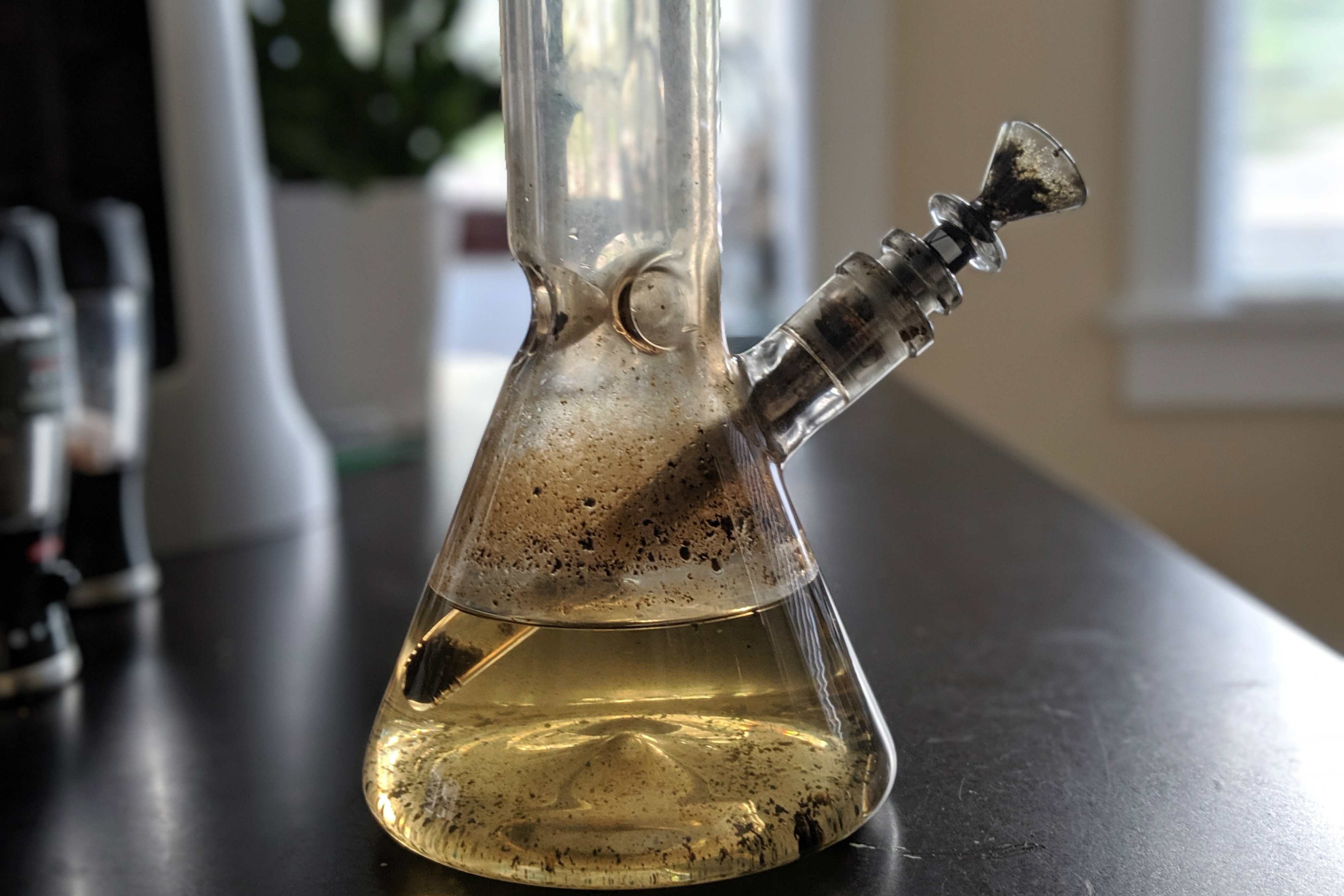 The Dangers of Dirty Bong Water | PotGuide