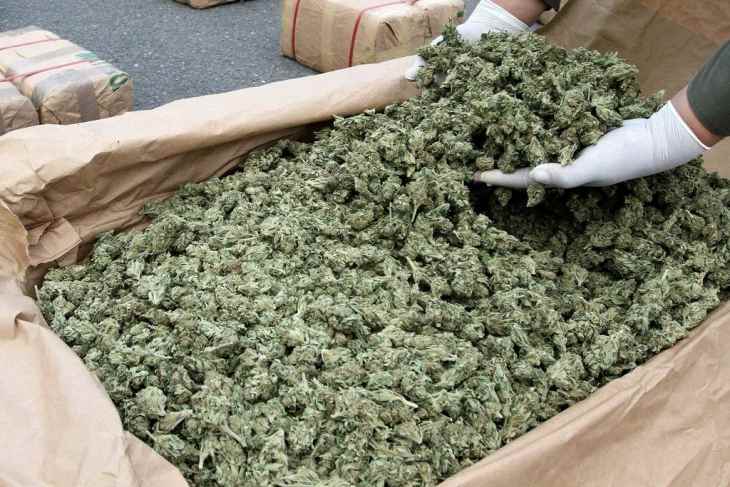 1000000 pounds of weed