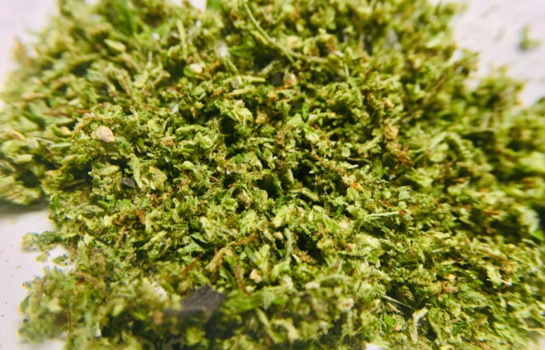 How to Grind Weed Without a Grinder PotGuide