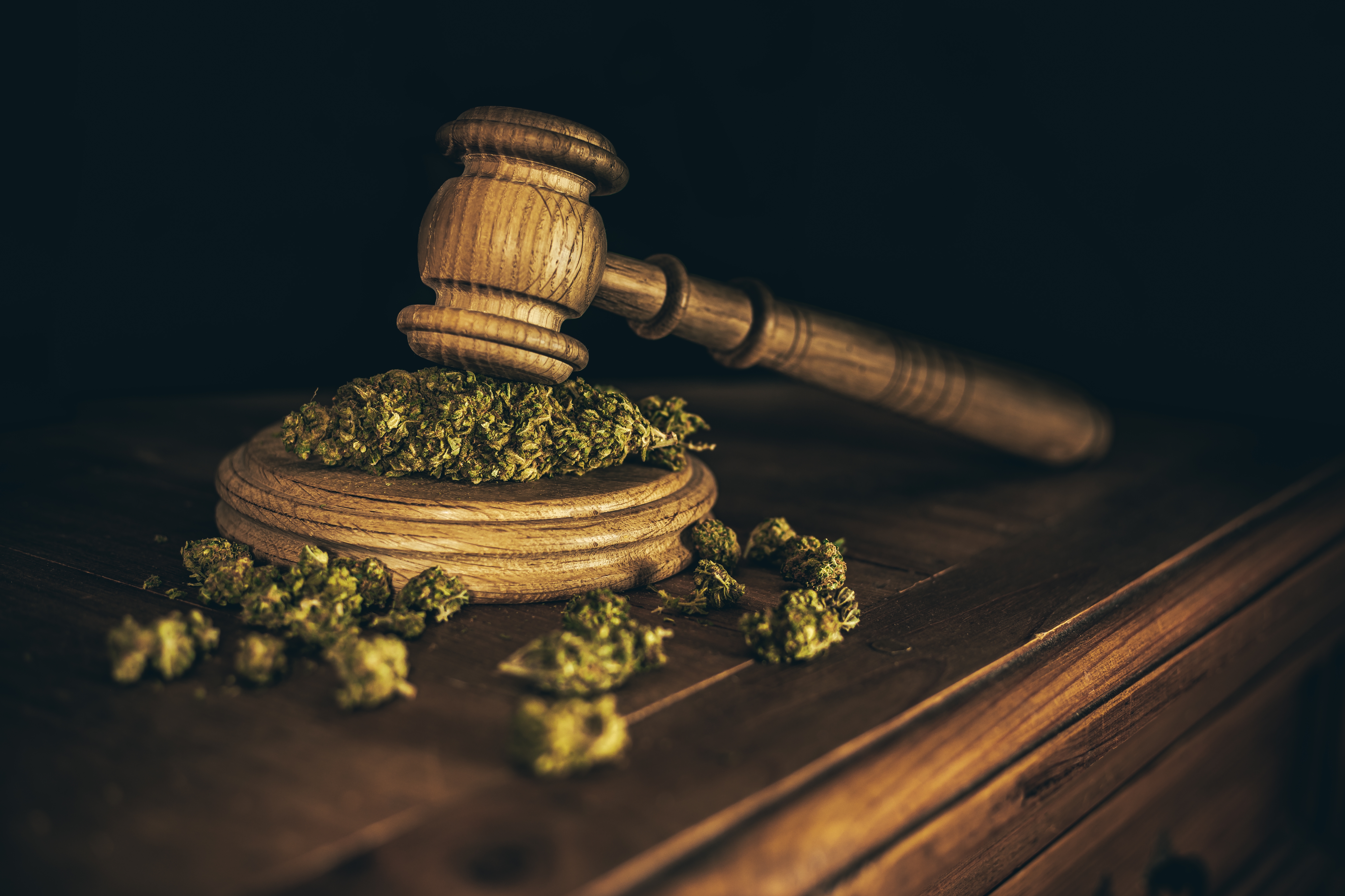 Cannabis buds rest on a wood block with a judge's wooden gavel resting on top.